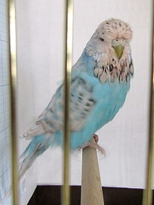 Участник №181 фото