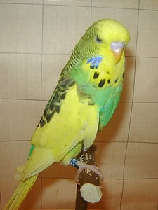 Участник №182 фото