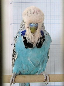 Участник №186 фото