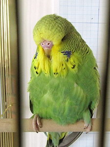 Участник №187 фото