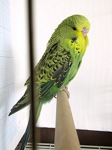 Участник №187 фото