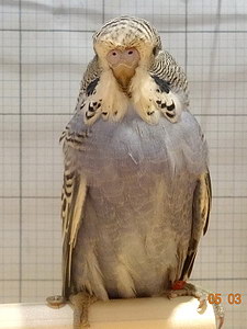 Участник №188 фото