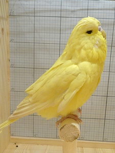 Участник №189 фото