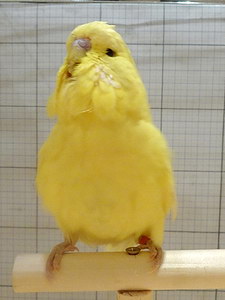 Участник №189 фото