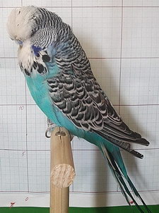 Участник №19 фото