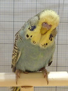 Участник №190 фото