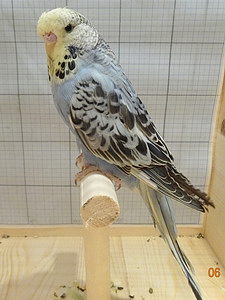 Участник №191 фото