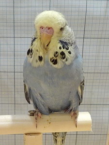 Участник №191 фото