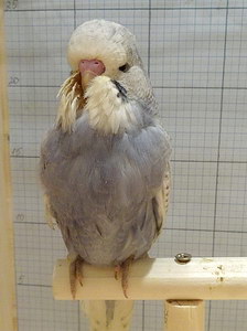 Участник №192 фото