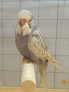 Участник №192 фото