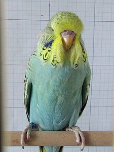 Участник №193 фото