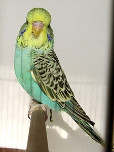 Участник №193 фото