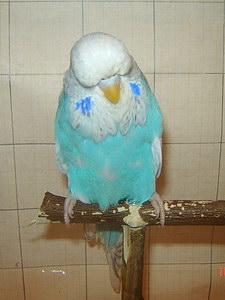 Участник №194 фото