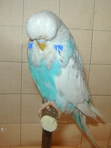 Участник №194 фото