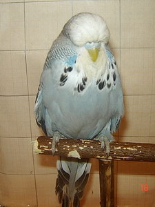 Участник №195 фото