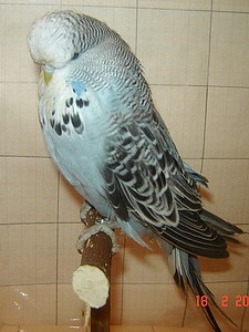 Участник №195 фото