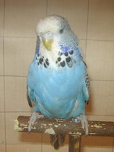 Участник №196 фото