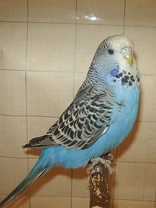 Участник №196 фото