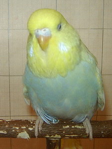 Участник №198 фото