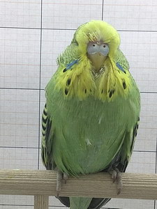 Участник №199 фото