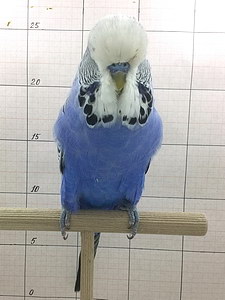 Участник №2 фото