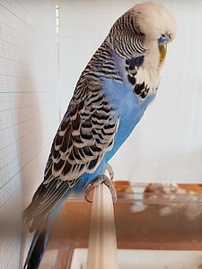 Участник №20 фото