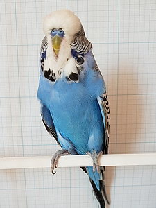 Участник №20 фото