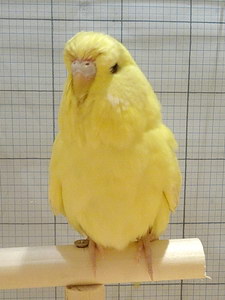 Участник №200 фото