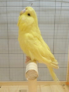 Участник №200 фото