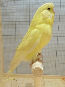 Участник №201 фото