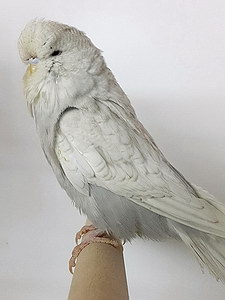 Участник №202 фото