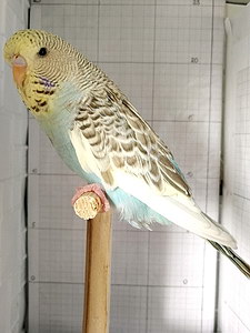 Участник №203 фото