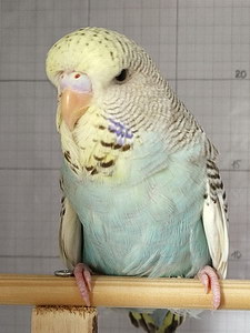 Участник №203 фото