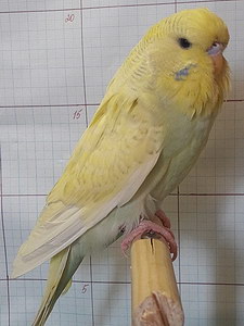 Участник №204 фото