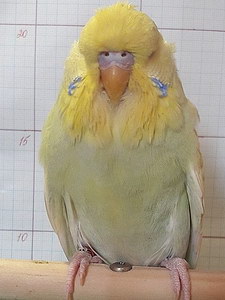 Участник №204 фото