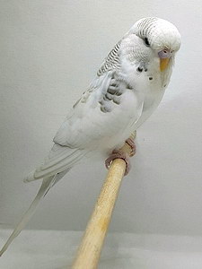 Участник №205 фото