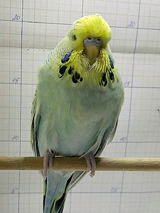 Участник №206 фото