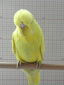 Участник №207 фото