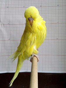 Участник №207 фото