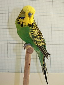 Участник №22 фото