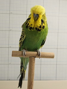 Участник №22 фото