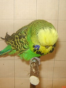 Участник №23 фото