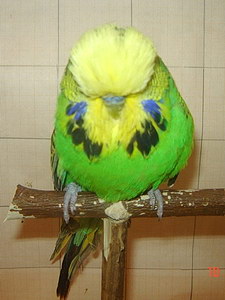 Участник №23 фото