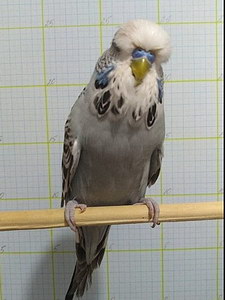 Участник №24 фото