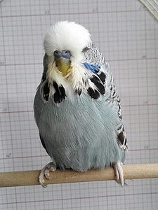 Участник №26 фото