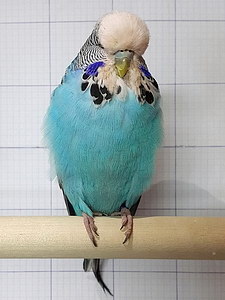 Участник №28 фото