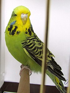 Участник №30 фото