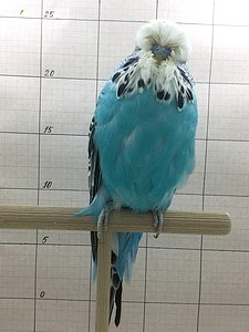 Участник №4 фото