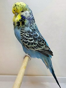 Участник №42 фото