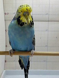 Участник №42 фото